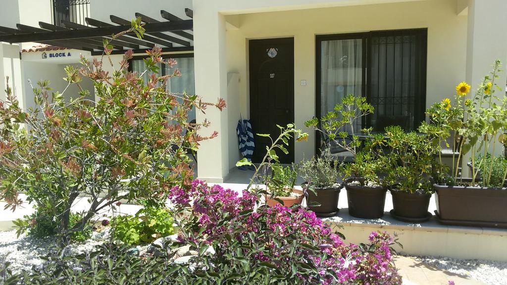 Faros Beach Paphos Kültér fotó